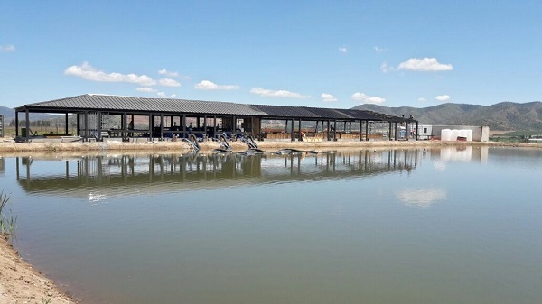 PROYECTO OBRA PUANGUE MELIPILLA