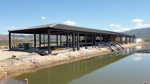 PROYECTO OBRA PUANGUE MELIPILLA